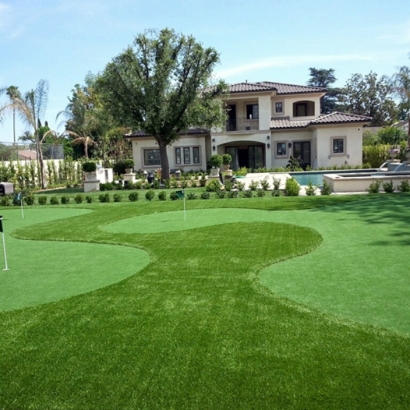 Putting Greens Largo Maryland Fake Grass Commercial Landscape