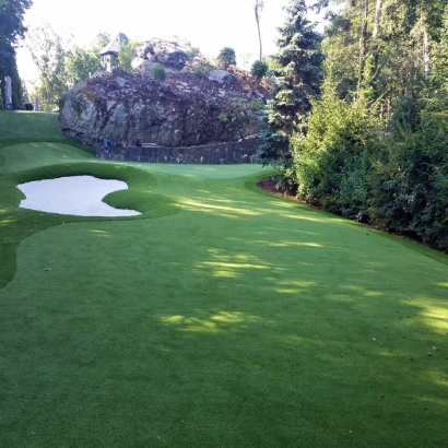 Putting Greens Middle River Maryland Synthetic Grass