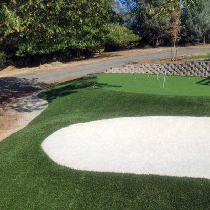 Putting Greens Overlea Maryland Fake Grass Back Yard