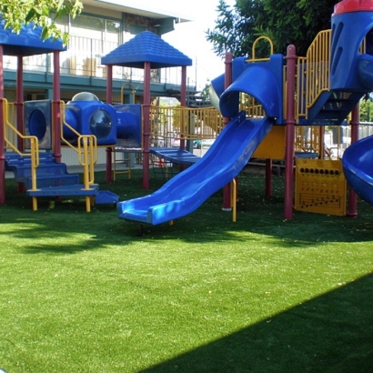 Synthetic Grass Forest Glen Maryland Playgrounds Back Yard