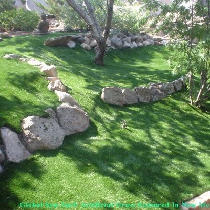 Synthetic Grass Mount Vernon Maryland Lawn