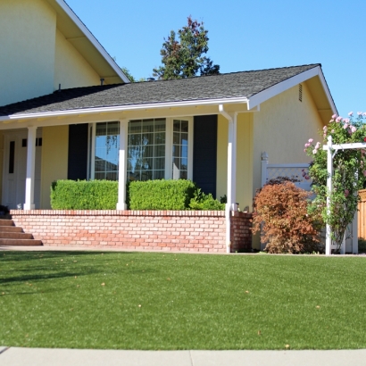 Synthetic Grass North Chevy Chase Maryland Lawn Back Yard