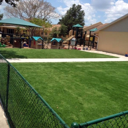 Synthetic Grass Queenstown Maryland Kids Safe Back Yard