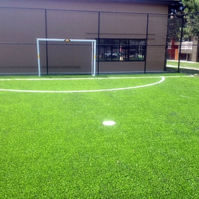 Synthetic Grass Sports Applications Aspen Hill Maryland Front