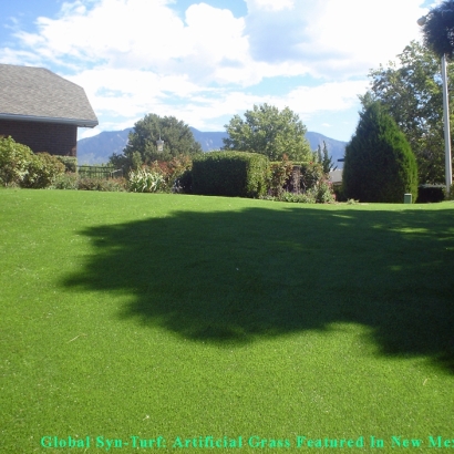 Synthetic Pet Grass Baltimore Highlands Maryland Installation
