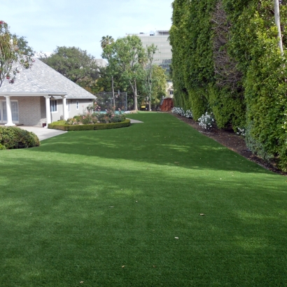 Synthetic Pet Grass Bel Air South Maryland Installation Back