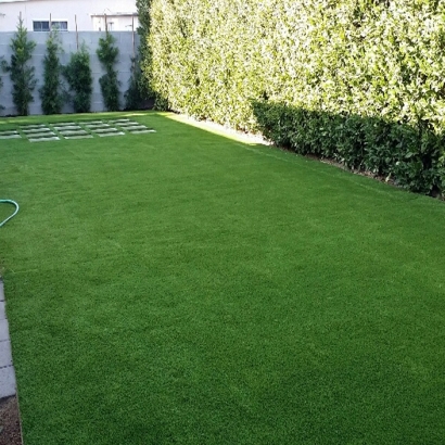 Synthetic Pet Grass Goddard Maryland for Dogs Front Yard