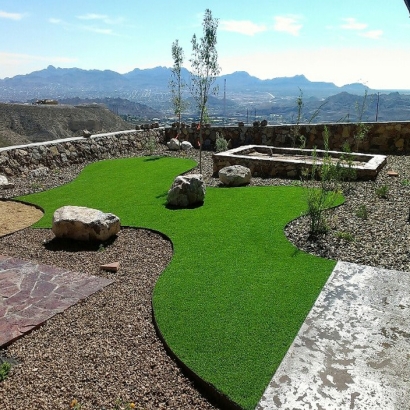 Synthetic Pet Grass Highland Maryland Installation Front