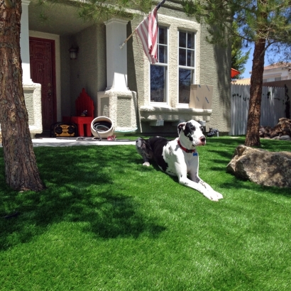 Synthetic Pet Grass Joppatowne Maryland for Dogs Back Yard