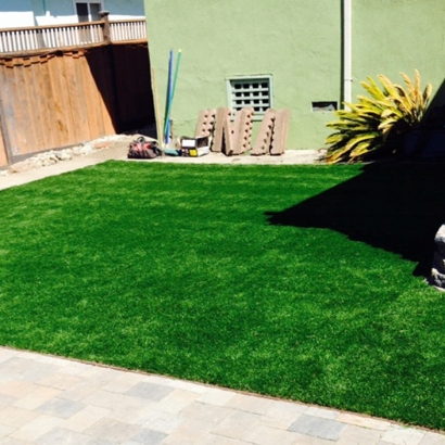 Synthetic Pet Grass Rock Hall Maryland Installation Back