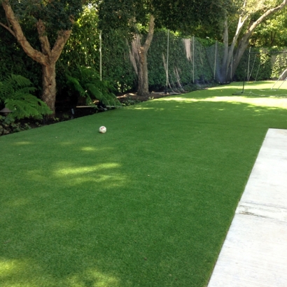 Synthetic Pet Grass Stevensville Maryland Installation Front