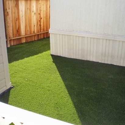 Synthetic Pet Turf Brentwood Maryland Installation Pavers