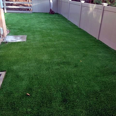 Synthetic Pet Turf Brentwood Maryland Installation Swimming
