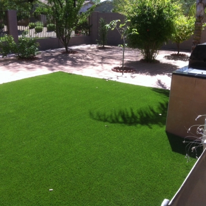 Synthetic Pet Turf Chevy Chase Section Five Maryland Installation