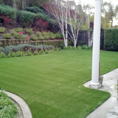 Synthetic Pet Turf Fulton Maryland for Dogs Front Yard