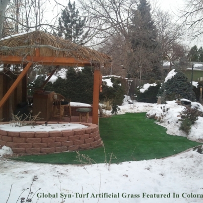 Synthetic Turf Charlestown Maryland Landscape