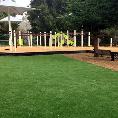Synthetic Turf Georgetown Maryland Kids Safe Back Yard