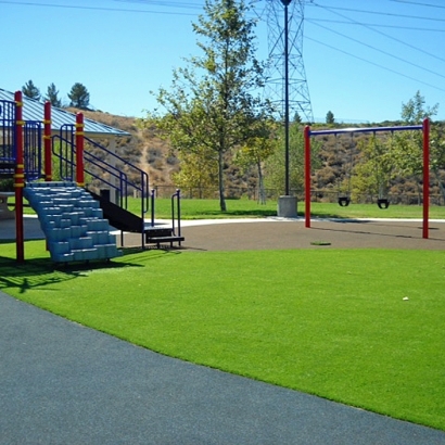 Synthetic Turf Hyattsville Maryland Playgrounds Front Yard