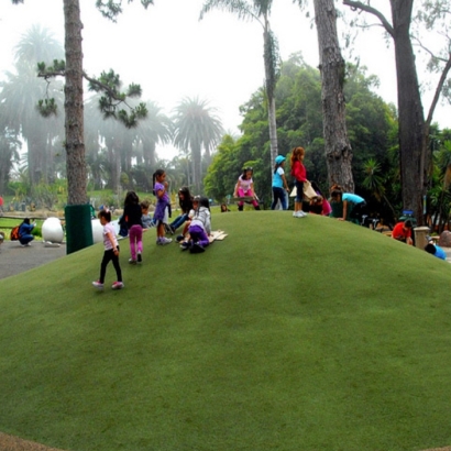 Synthetic Turf Landover Maryland Playgrounds Front Yard