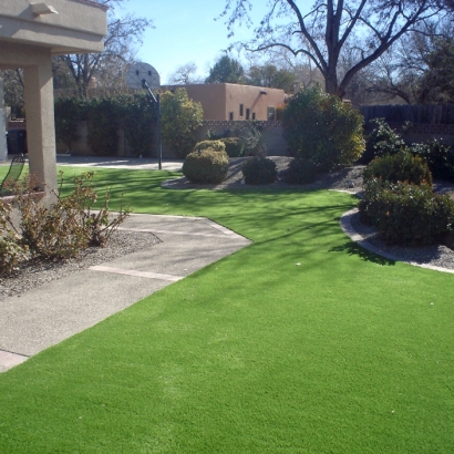 Synthetic Turf Overlea Maryland Lawn Front Yard