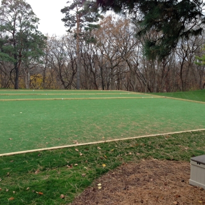 Synthetic Turf Sports Applications Mayo Maryland Back Yard