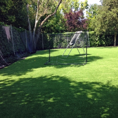 Synthetic Turf Sports Applications Sykesville Maryland Back