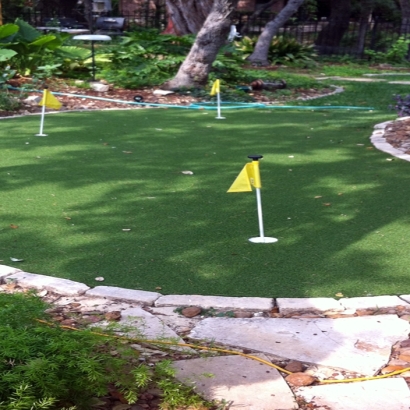 Synthetic Turf Trial Maryland Landscape Back Yard