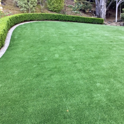 Synthetic Turf Walker Mill Maryland Lawn