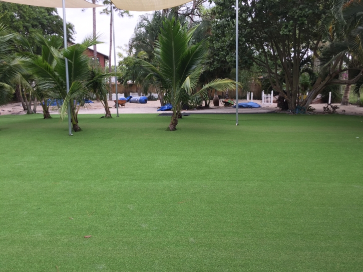 Artificial Grass Carpet Chevy Chase, Maryland Landscape Design, Commercial Landscape