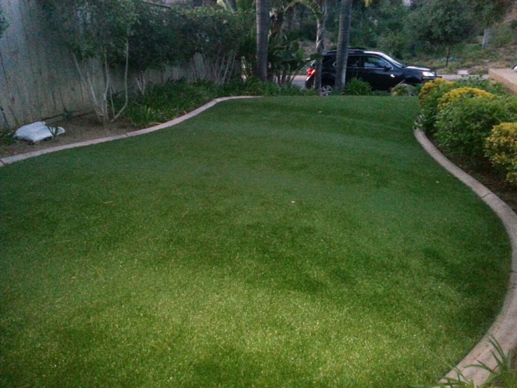 Artificial Grass Carpet Clarksburg, Maryland City Landscape, Front Yard Design