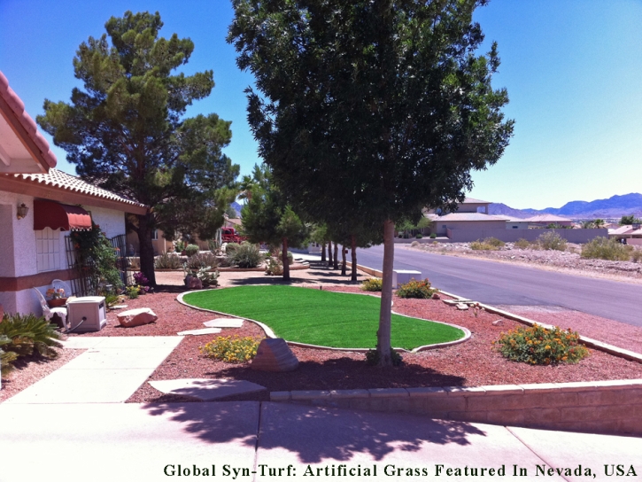 Artificial Grass Mount Vernon Maryland Landscape