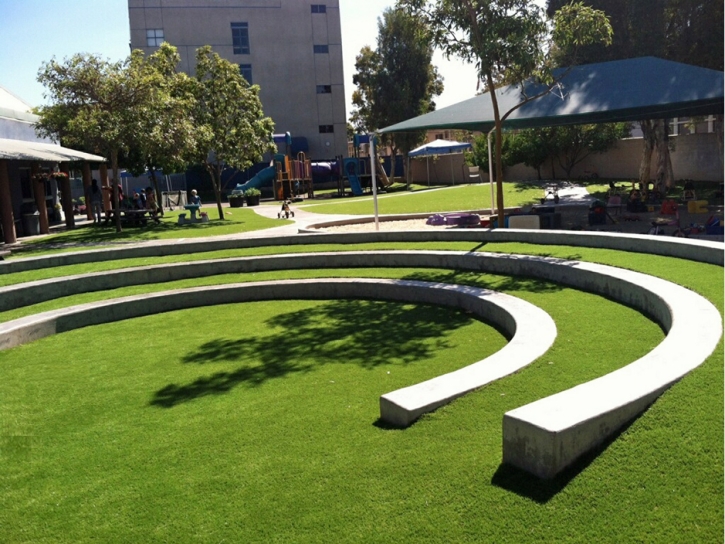 Artificial Grass Parkville Maryland Playgrounds Front Yard