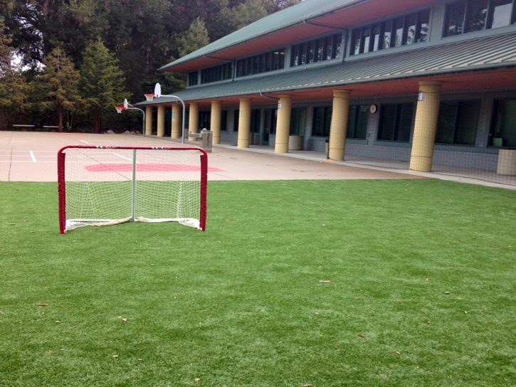 Artificial Grass Sports Fields Naval Academy Maryland Back