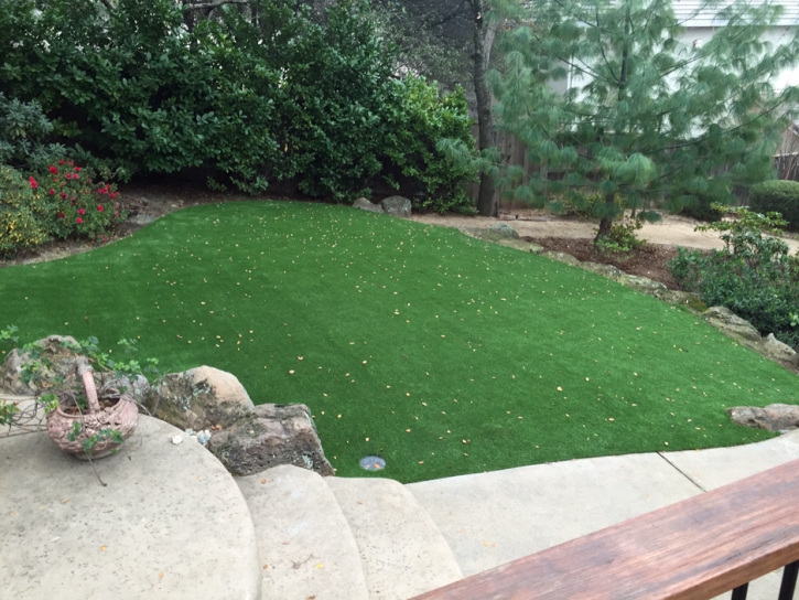 Artificial Grass Stewartstown Pennsylvania Landscape