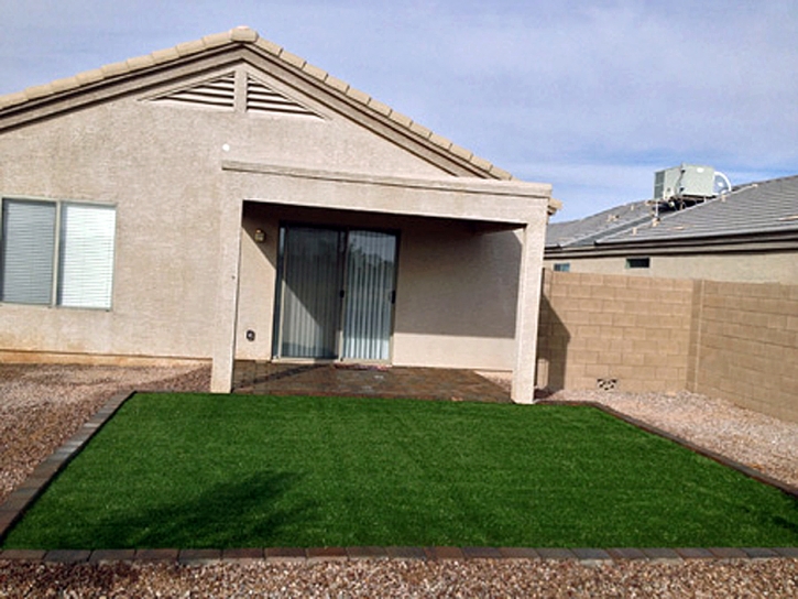 Artificial Pet Grass Mount Rainier Maryland Installation