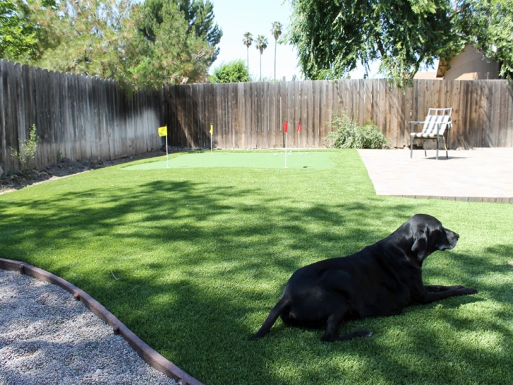 Artificial Pet Grass Walker Mill Maryland Installation