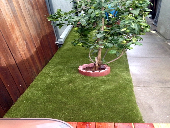 Artificial Pet Turf Damascus Maryland Installation