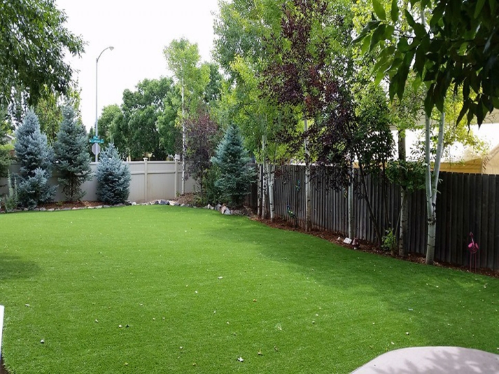 Artificial Pet Turf Galesville Maryland for Dogs Back Yard