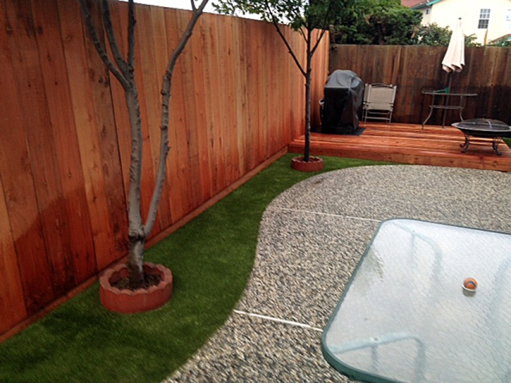 Artificial Pet Turf Grasonville Maryland Installation Commercial