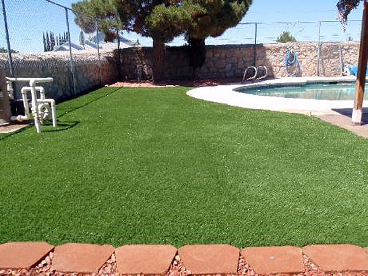 Artificial Pet Turf Kent Narrows Maryland for Dogs Front