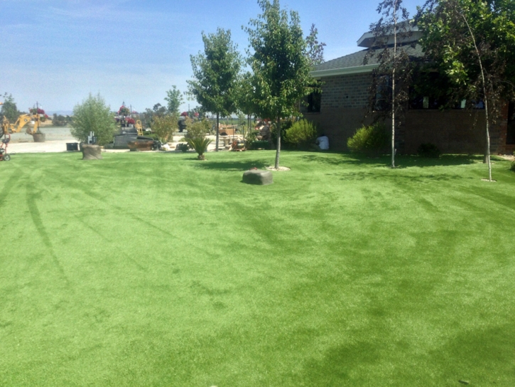 Artificial Pet Turf Mays Chapel Maryland for Dogs Front