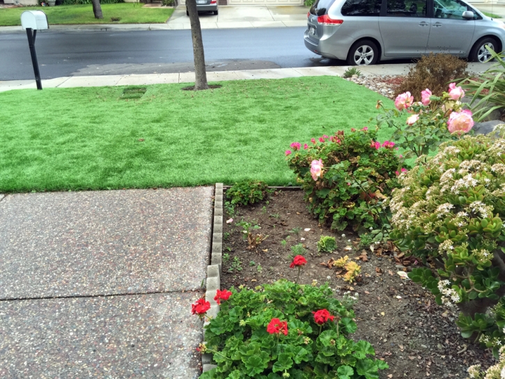 Artificial Pet Turf Takoma Park Maryland Installation Front