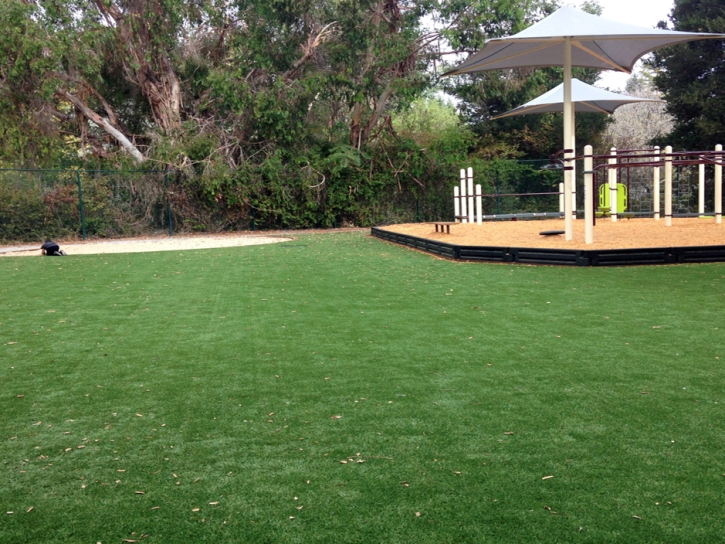 Artificial Turf Bel Air North Maryland Kids Safe Commercial