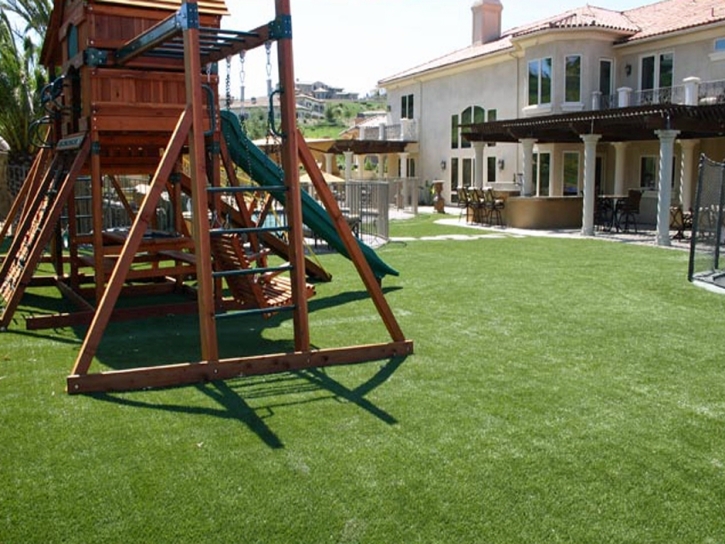 Artificial Turf Hampton Maryland Kids Safe Back Yard