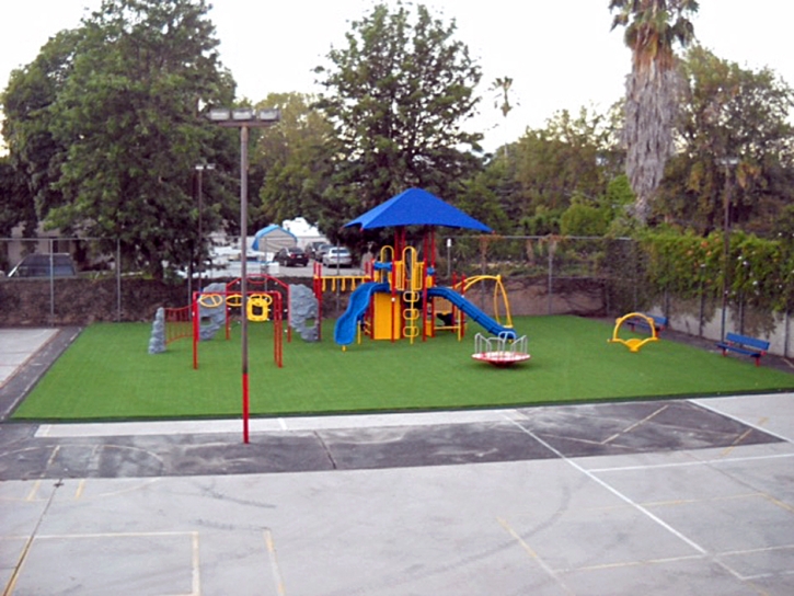 Artificial Turf Rossmoor Maryland Playgrounds Back Yard