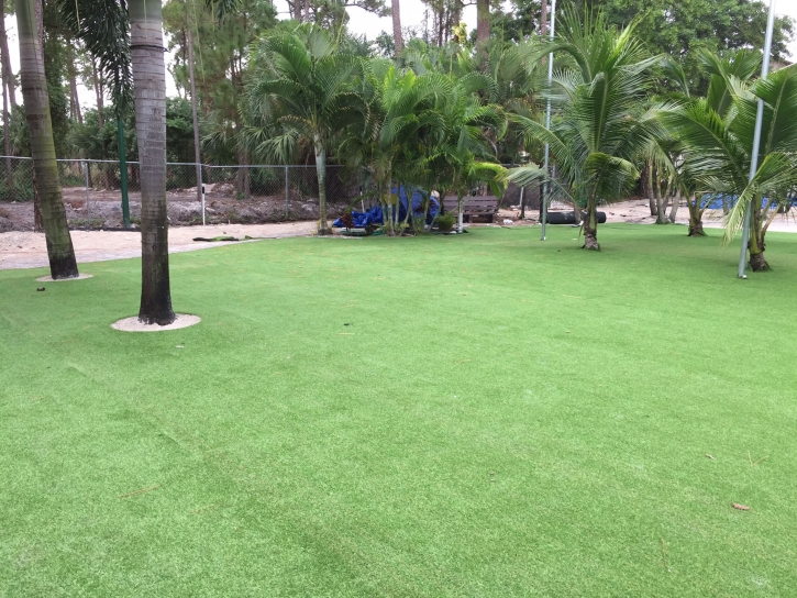 Best Artificial Grass Church Hill, Maryland Lawn And Garden, Commercial Landscape