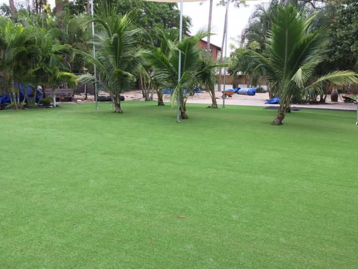 Fake Grass Carpet Libertytown, Maryland Landscape Rock, Commercial Landscape