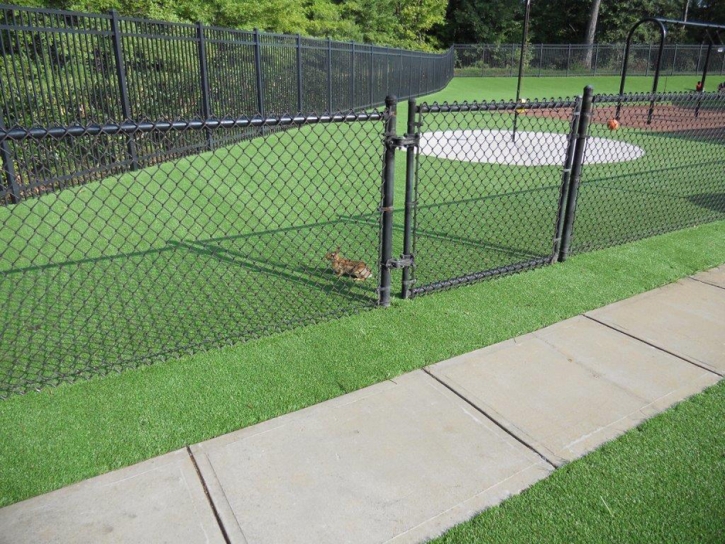 Fake Grass Hunt Valley Maryland Playgrounds Back Yard