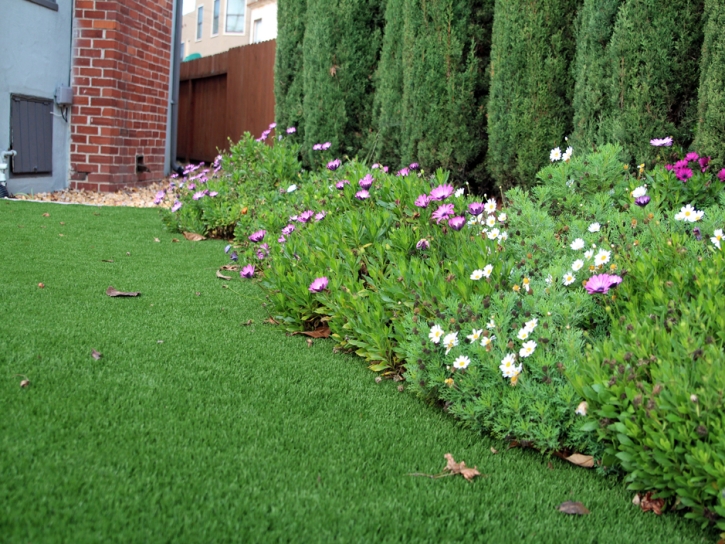 Fake Grass Kensington Maryland Lawn Back Yard