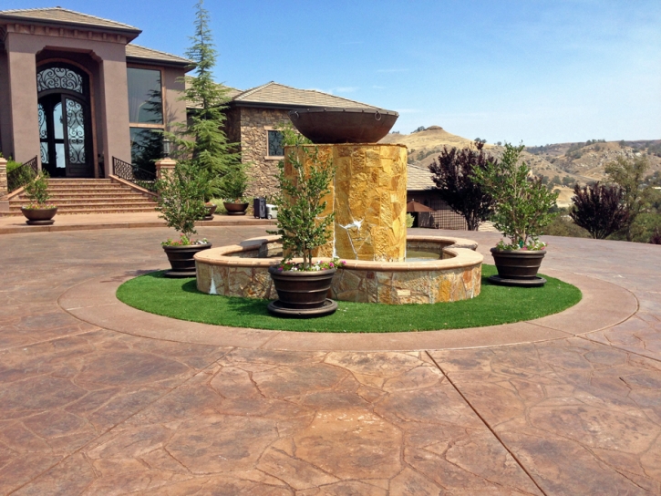 Fake Grass Mitchellville Maryland Landscape Front Yard